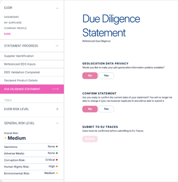 Statement screen with progress menu, geolocation privacy and confirm statement choices and a submit button