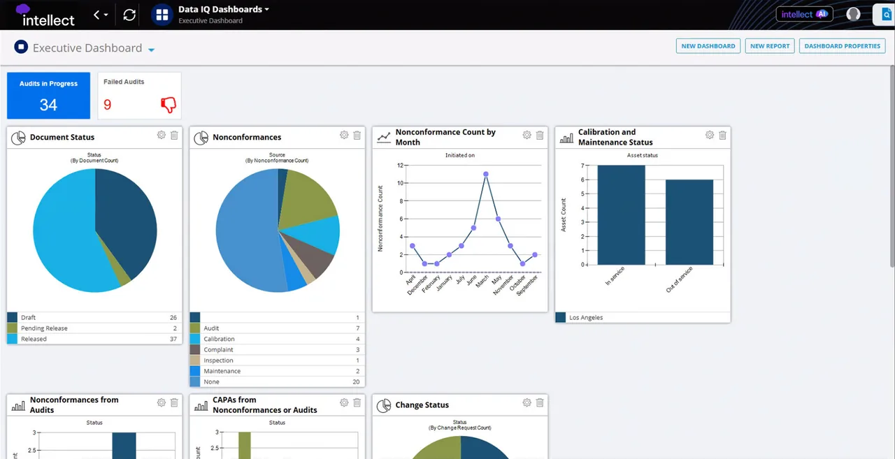 Executive dashboard with audit counts and pie, line and bar charts for documents, nonconformances and CAPAs